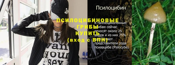 spice Карпинск