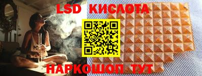 прущие грибы Будённовск