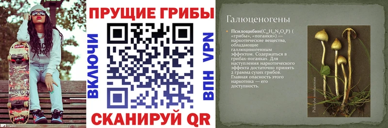 Галлюциногенные грибы мицелий  где купить наркоту  Екатеринбург 