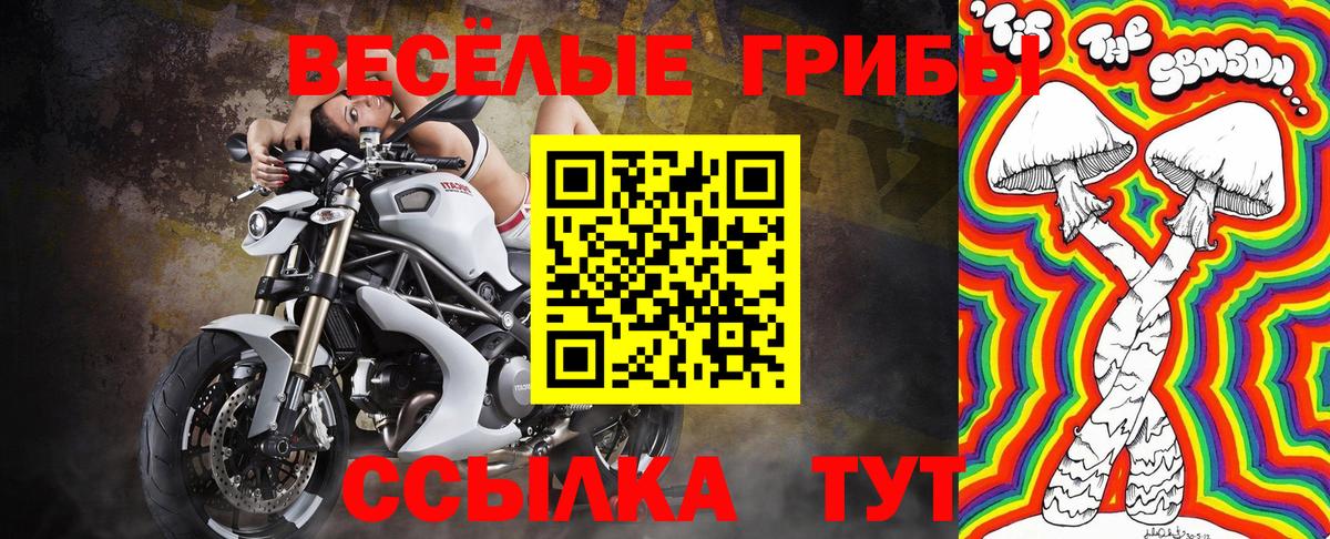 Екатеринбург  Галлюциногенные грибы Psilocybe  Вход с VPN 