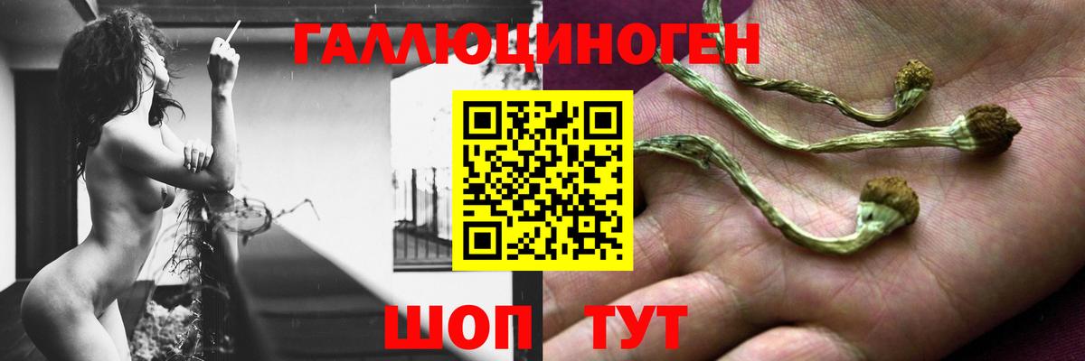 Галлюциногенные грибы Magic Shrooms  Екатеринбург  Галлюциногенные грибы Magic Shrooms 